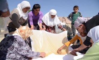 BAĞ BOZUMU DEVAM EDİYOR